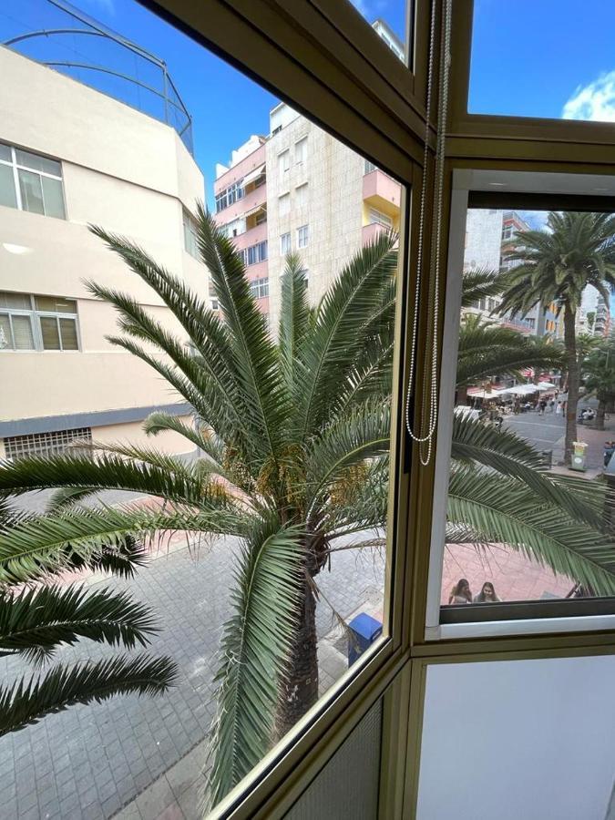 Palmeras 102 Las Palmas de Gran Canaria Ngoại thất bức ảnh